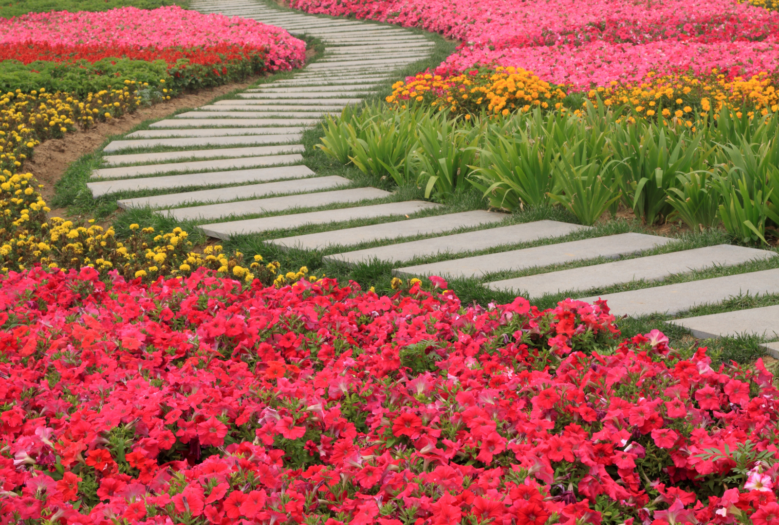 Mon chemin vers une beauté holistique engagée