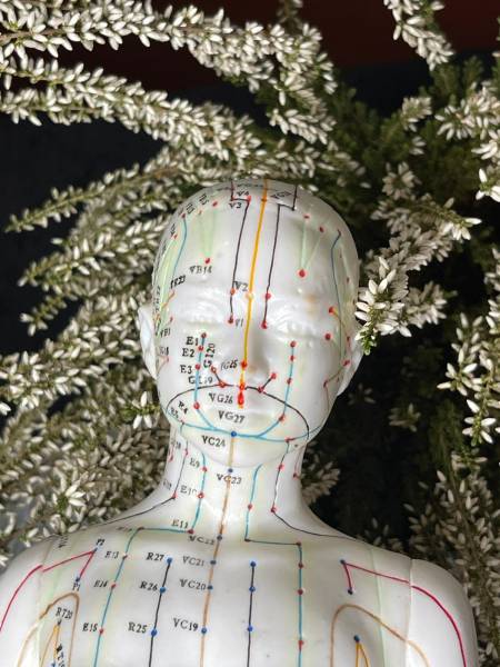 Atelier médecine chinoise bien être Avignon 